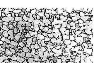 晨源钛合金金相术语及图谱α相合集