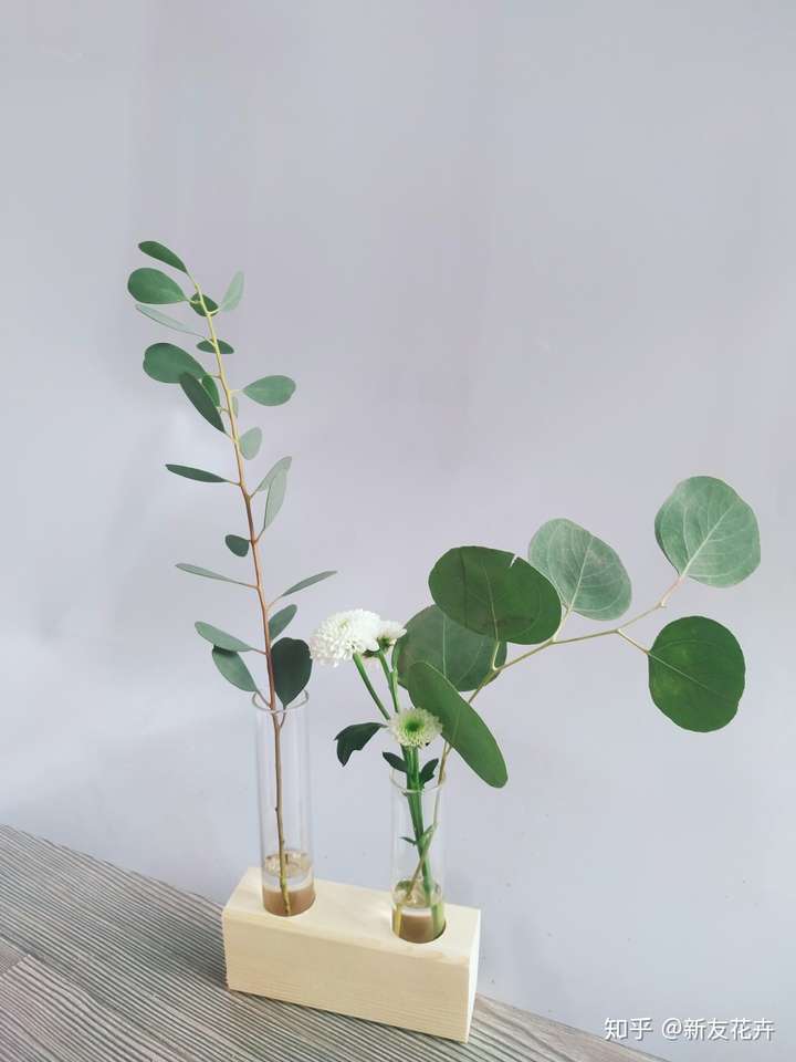 茉莉花鲜花插到花瓶里为什么花骨朵不开?