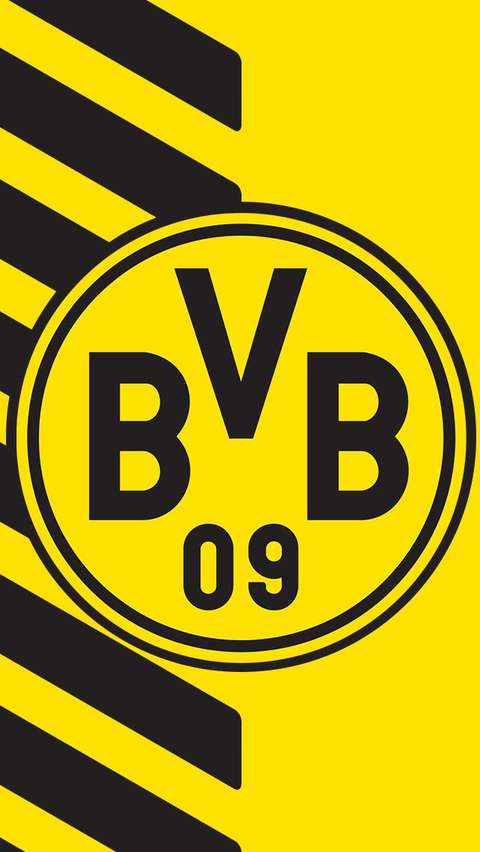 多特蒙德(borussia dortmund)