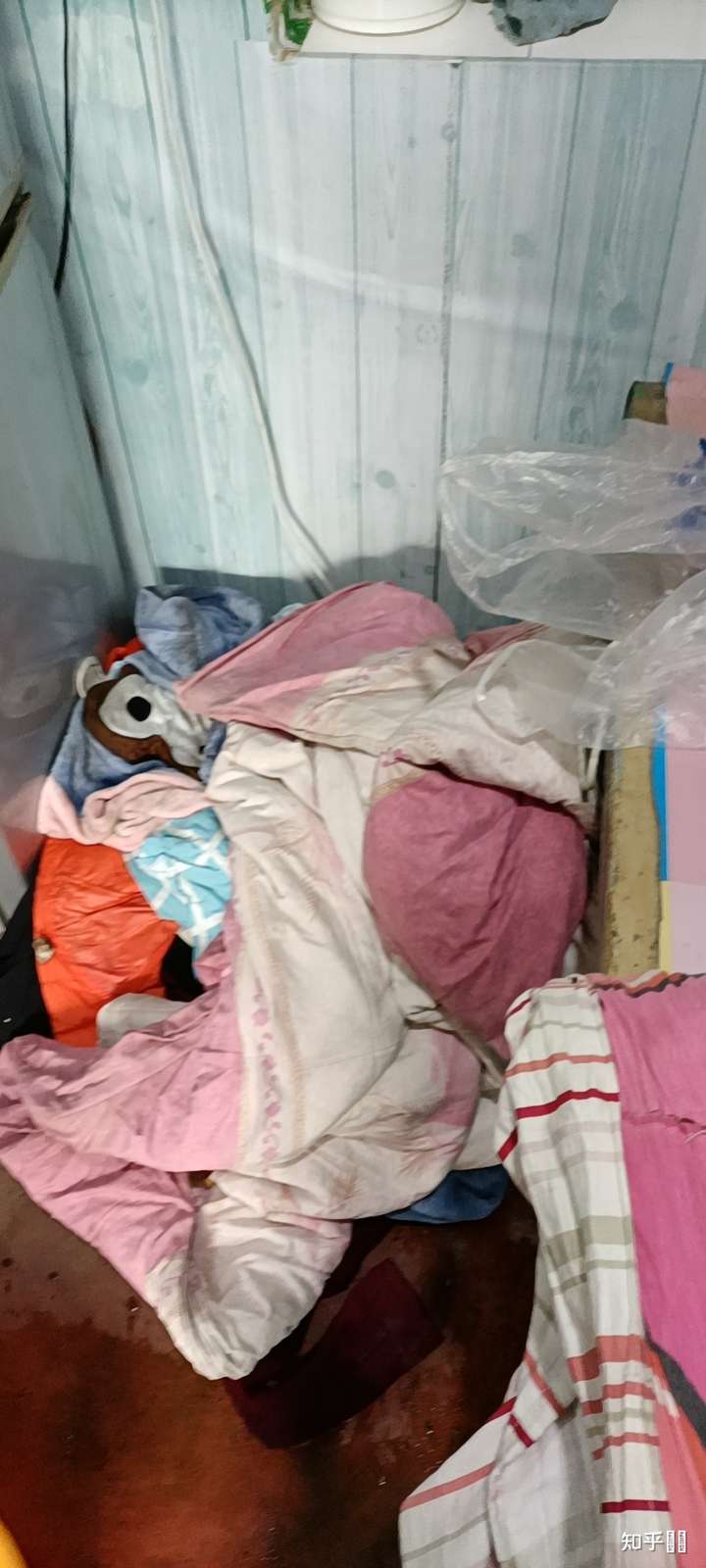 老爸是傻逼还是我不孝?