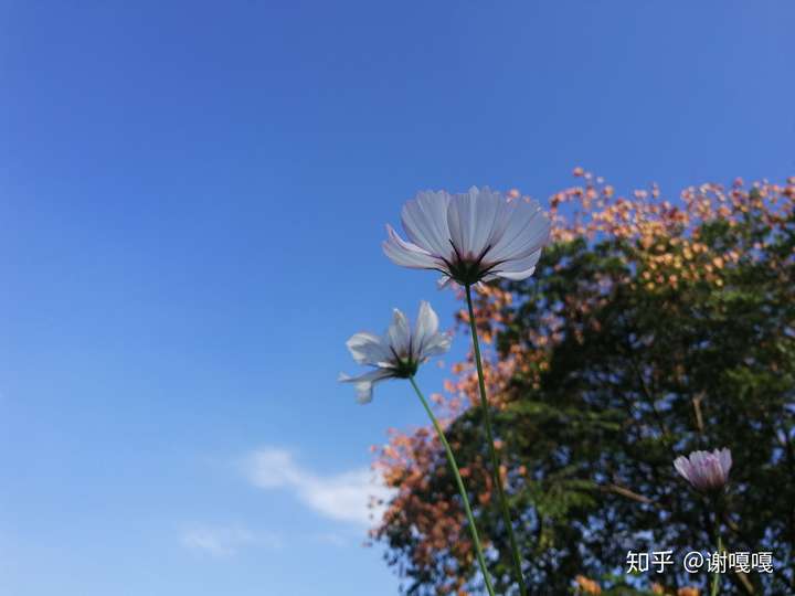 你有哪些拍得很美并愿意分享的照片?