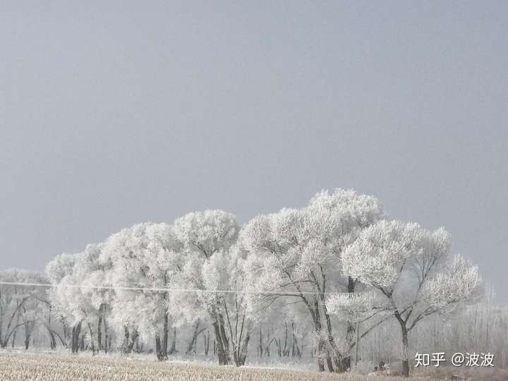 想看看北方的风景,求分享?