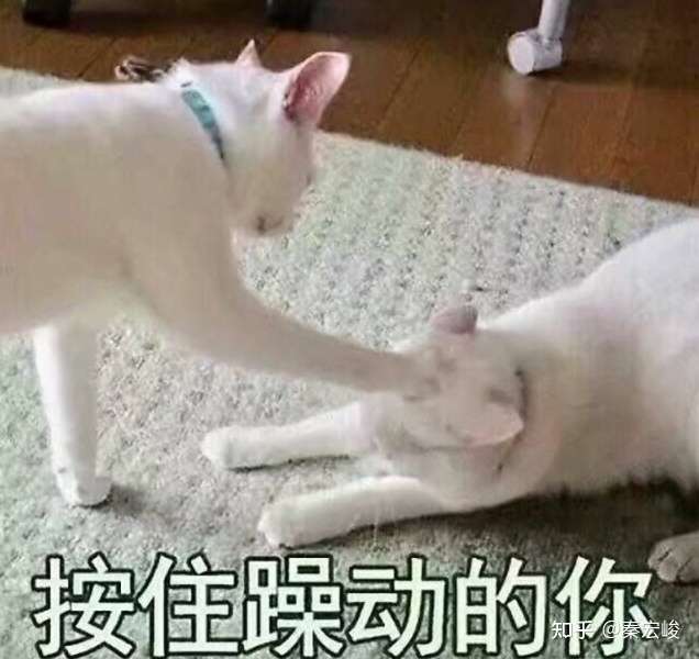 但是好巧不巧!