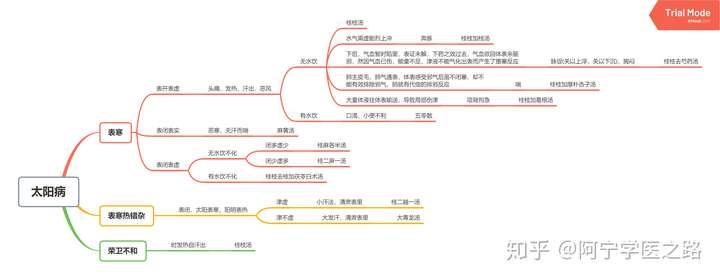 中医经典伤寒论思维导图笔记