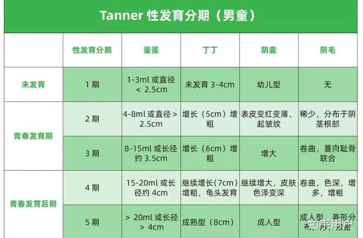 睾丸是否增大,医生也是要按标准睾丸大小测量器去判断的.