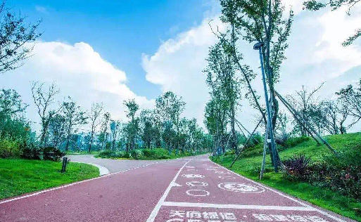 天府绿道作为一条慢行道路, 将科技,生