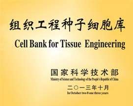 为杭州细胞里提供技术支持的组织工程种子细胞库很厉害吗与其他干细胞