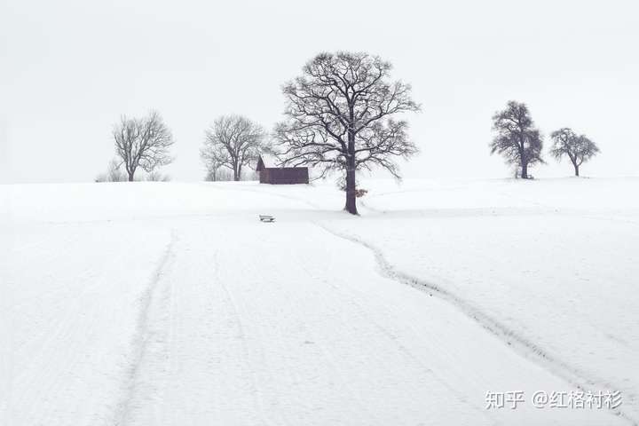 有哪些适合「初雪」时发的朋友圈文案?