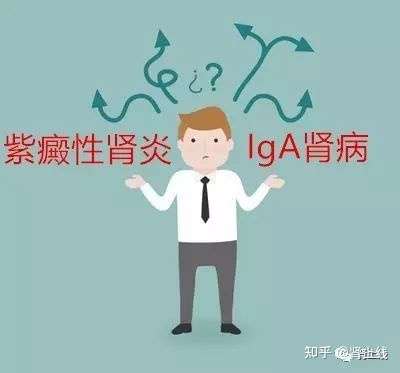 紫癜性肾炎属于属于肾炎的哪一种