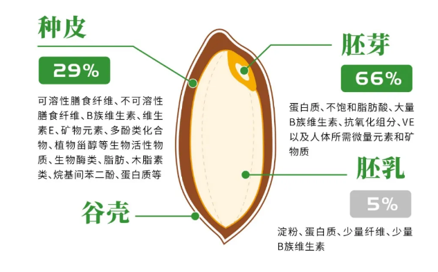 胚芽米和一般白大米有什么区别胚芽米怎么样呢