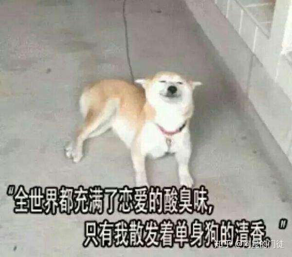 你需要找个对象,然后就可以开开心心的给别的单身狗撒狗粮了