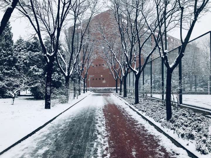 有哪些中国政法大学的校园风景让你即便毕业也会念念不忘?