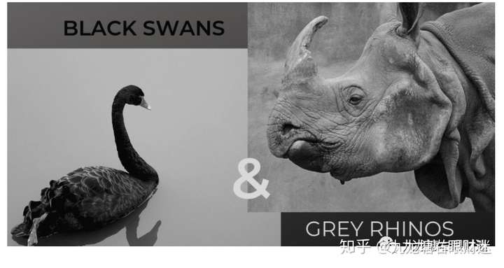 财迷‖解毒蚂蚁暂缓IPO与拜登当选概率大增