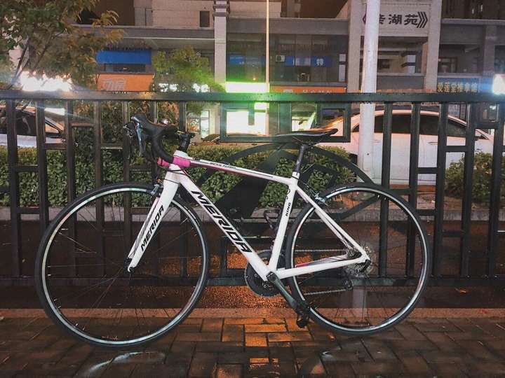 斯特拉 king 迪卡侬 rc520 捷安特 tcr sl 2 崔克 domane al2 disc