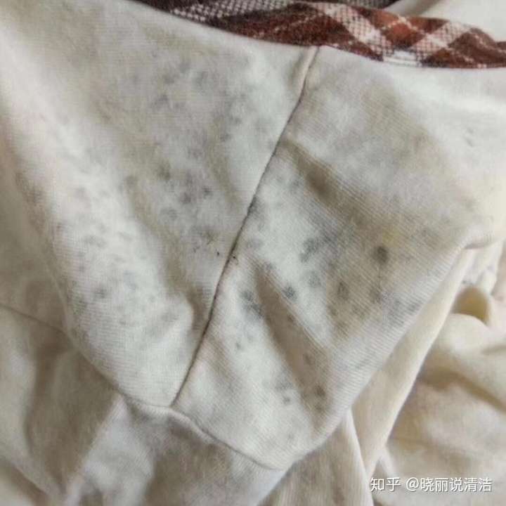 衣服发霉怎么洗掉上面的霉斑