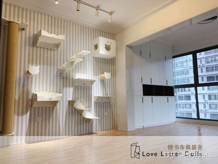 想买只布偶猫,但是好多猫舍都不愿意让上门去选猫,这是上门原因呢?