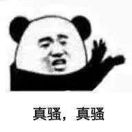 污污下载熊猫头表情包拿图片微信群聊天男女撩人情话