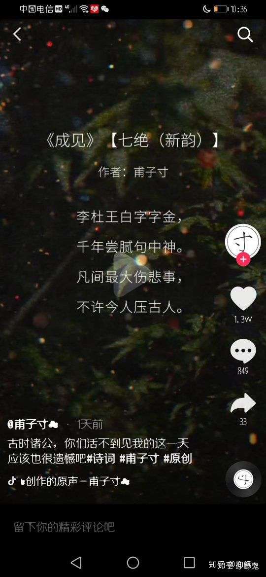 如何看待甫子寸的诗