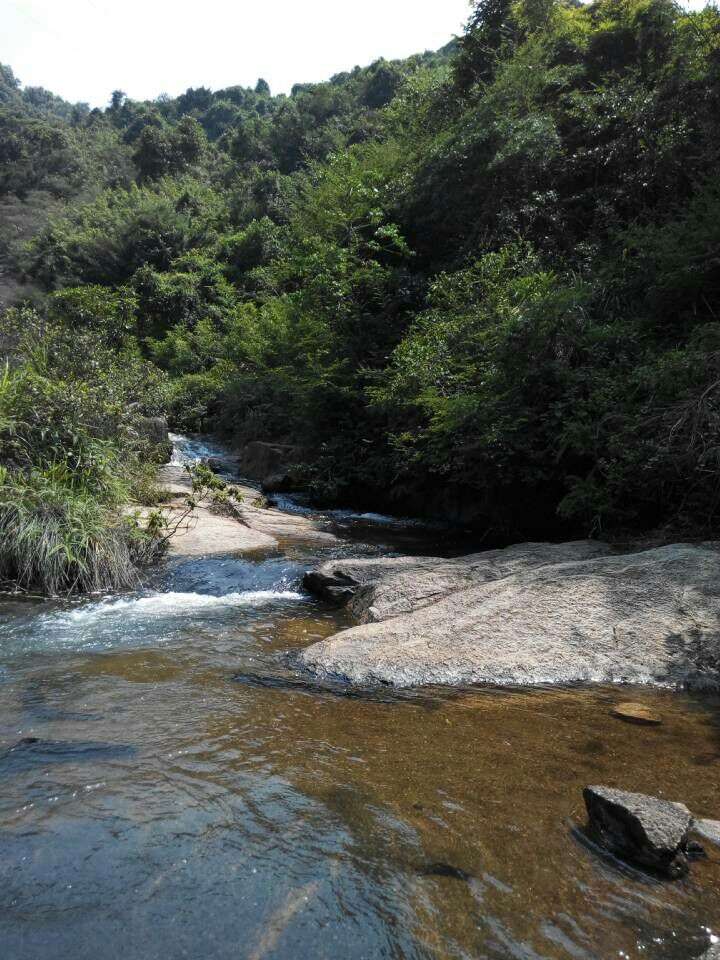 中山市最经典的旅游地是什么景点?