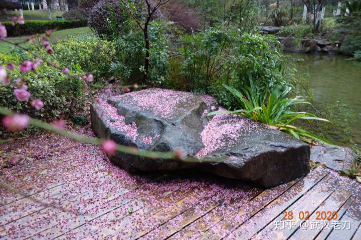 老刀：谁欠李文亮一晚霓虹相送？【封城笔记】