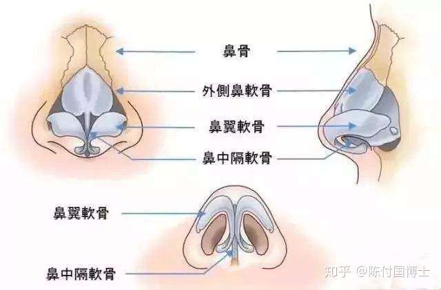 经常捏鼻子(网上的美鼻操那种)是会变小还是会越捏越大?
