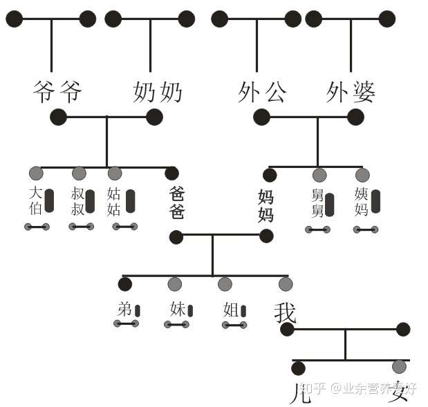 以树根宝塔形式描绘你的家谱图腾你能填到几代