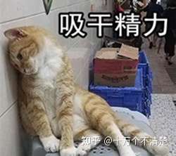 不夸张的说,整个人就像一块在角落里放了半年的秤砣,没有气力,身体