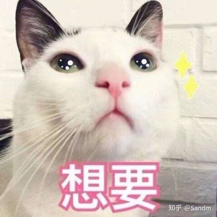 有没有给女朋友亲亲的表情包?