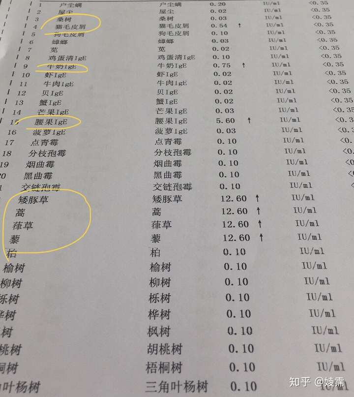 你见过哪些奇怪的过敏源