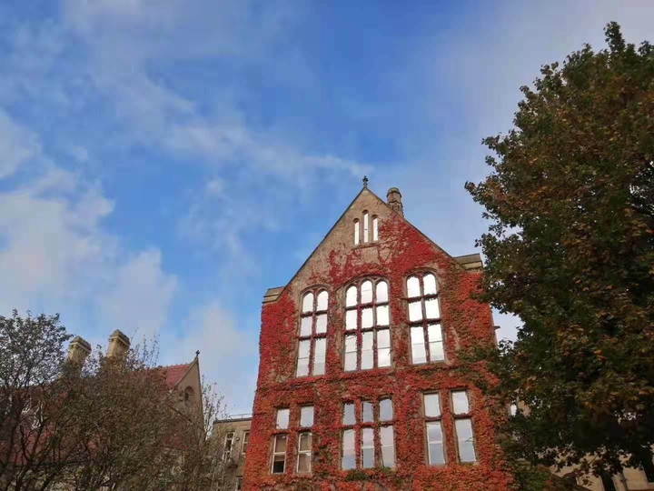 曼彻斯特大学的艺术管理专业如何?