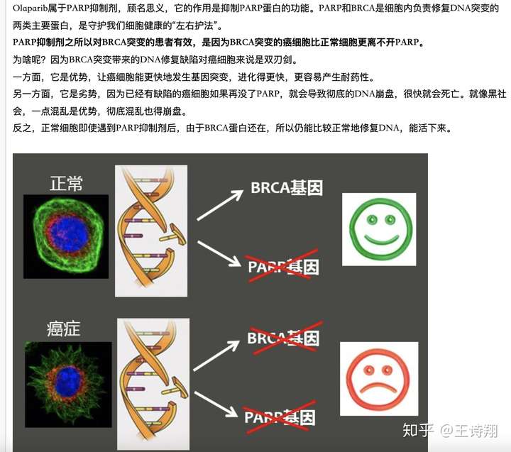 brca1/2基因检测查的遗传突变还是后天突变?