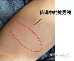 处男的小臂内侧会有一条淡淡的纹路,就是传说中的"处男线,跟"守宫砂"