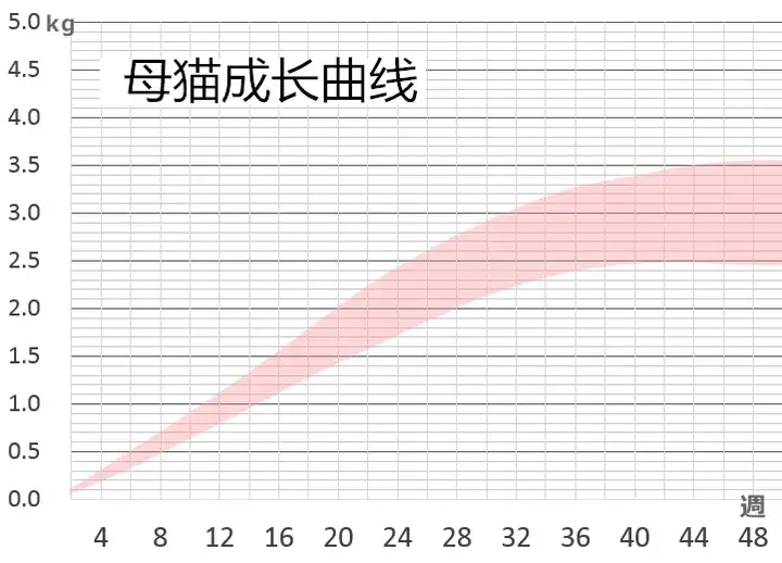 新生小猫第二天体重变化不明显该怎么处理?需不需要人工喂奶?