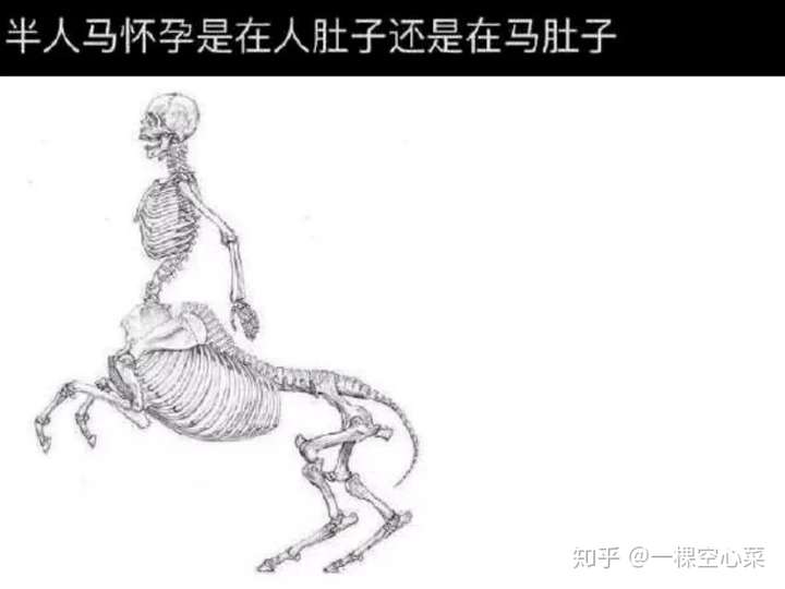 半人马怀孕是在人肚子还是在马肚子