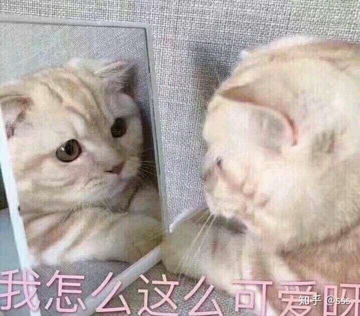 比心心洗澡澡睡觉觉 要抱抱想亲亲做爱爱 你说可爱不可爱