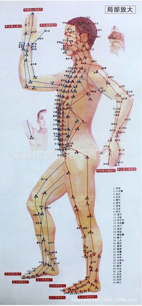 "面部各部位长痘原因不同"有何科学依据?