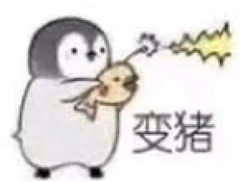 有哪些万能的表情包推荐?