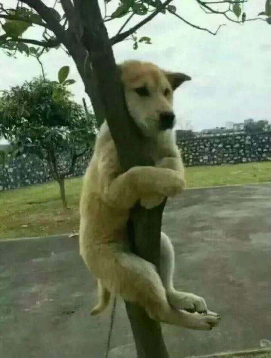 不太清晰