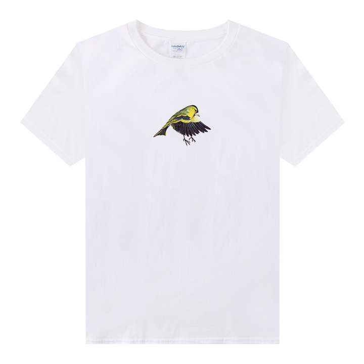 SEO基础款t恤 知乎