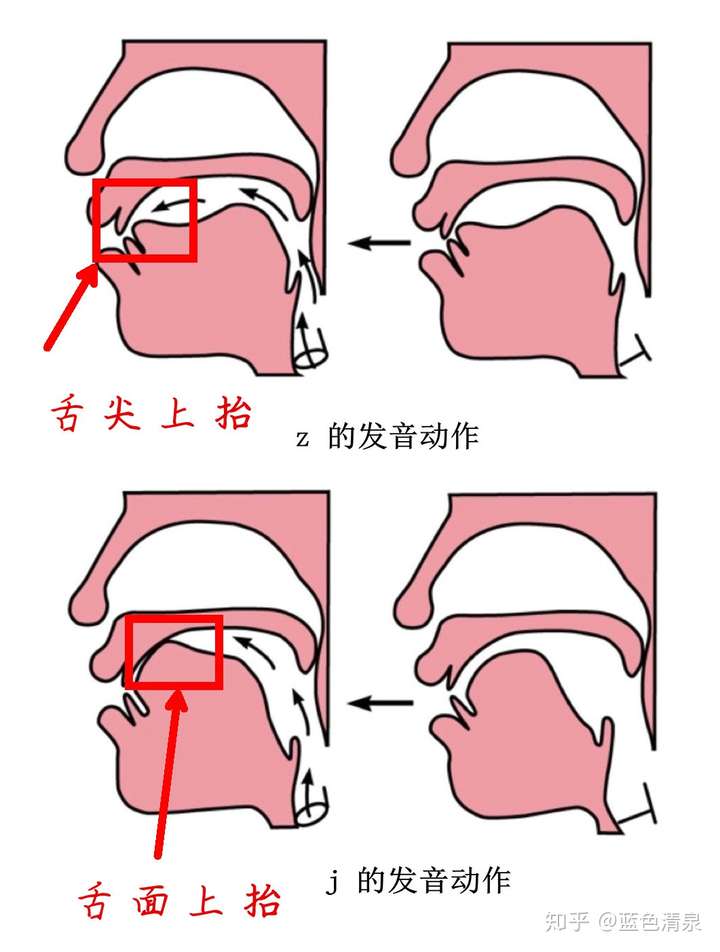 一对比,一个是舌尖前,一个是舌面前,差别就在发音部位上; 把 ao