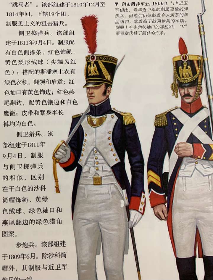 如何评价拿破仑帝国时期的法军军服?