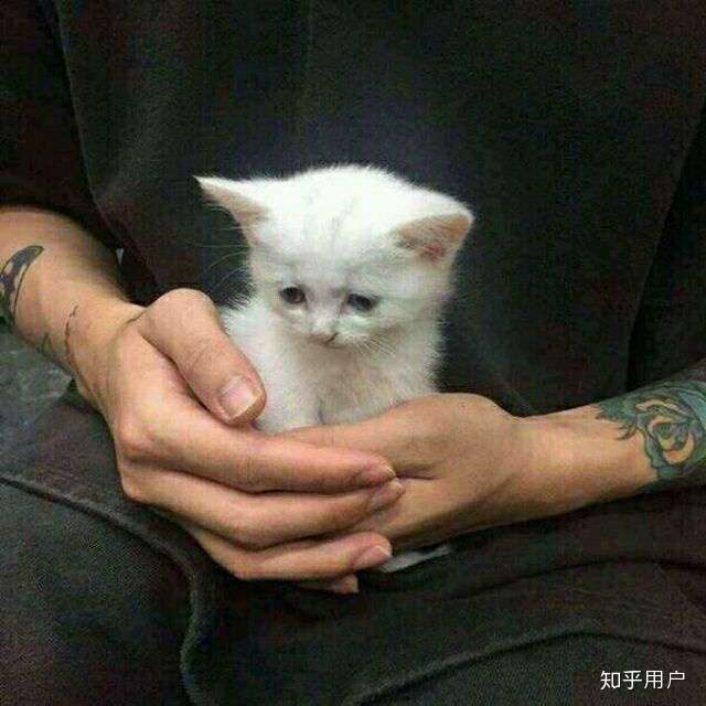 有哪些好看的情侣头像?