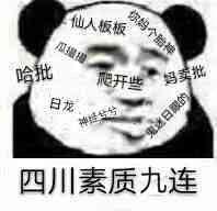 求各省素质十连表情包