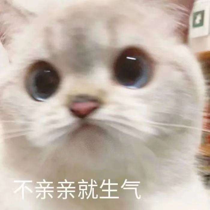 迷人的我又出现啦