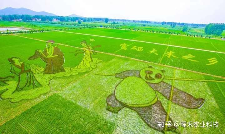 由沈腾饰演的马亮从小就生活在东北农村中,为了回馈养育自己的