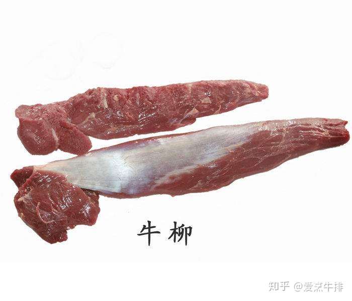 牛身上哪个部位的肉