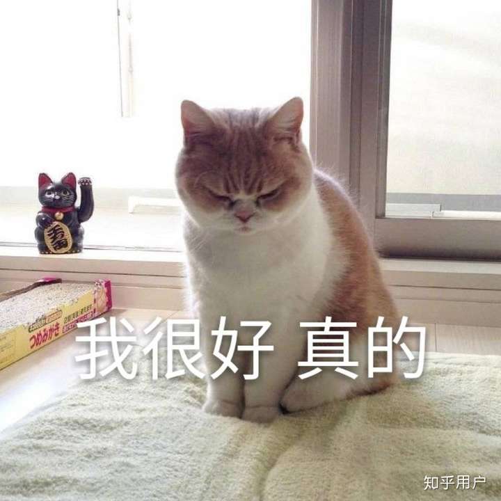 真的有人「醉猪肉」(吃猪肉上头)吗?机制是什么?