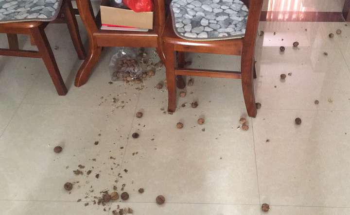 被家暴是一种怎样的感受?