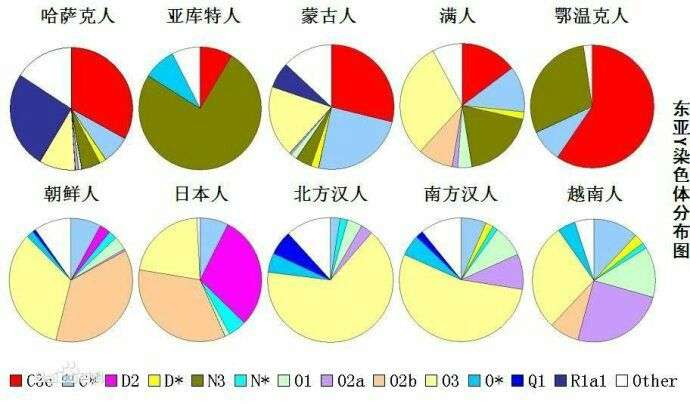 汉族的主要基因构成如何