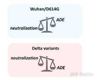 ade是什么意思 zhuanlan.zhihu.com